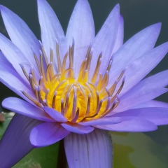 Юлия Тищенко, 29.11, Санкт-Петербург