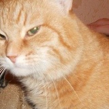 Марат Китапов, 29.06