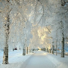 Gulnara Kuyanbayeva, 02.02.1991, Алматы