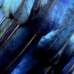 Julia Melnikova, 11.06