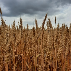Валентина Васенко, 04.08, Москва
