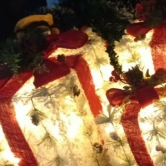 Александр Лялин