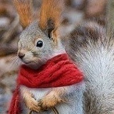 Oksana Malysheva, 21.10, Edmonton