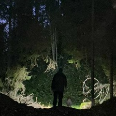 Сергей Попов, Санкт-Петербург