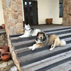 Феликс Мончинский, 29.04.1989, Москва