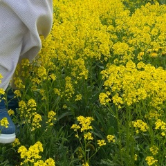 Эльмира М, 25.03, Санкт-Петербург