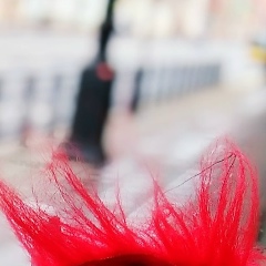 Никита Литвенков, 24.05, Санкт-Петербург