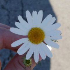 Людмила Кулагина, 04.06