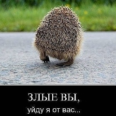 Серг Кочарян