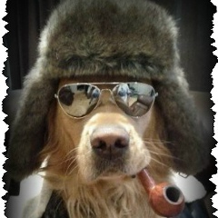 Алекс Тар, 31.12.1985