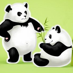 Мирослава Габерлах, Черновцы