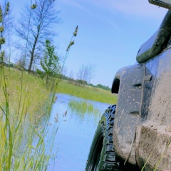 Антон Михалыч