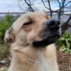 Лилия Корнева, 30.05, Нижний Тагил