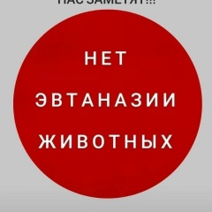 Виктория Трубникова, 17.04, Остров