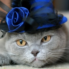 Наталья Исакова, 07.12.1972, Калининград