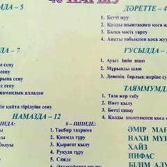 Гульнур Жанарбекова, Алматы