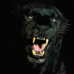 Оксана Тетерева, 30.03.1978, Москва