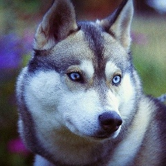 Асель Айдарбекова, 30.03.1989, Астана