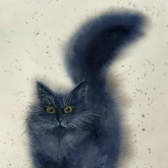 Яна Кошка, 14.01, Калининград
