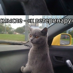 Дмитрий Симонов, 16.07.1989, Екатеринбург