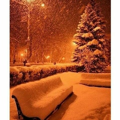 Альфия Тусупжанова, 11.03, Астана