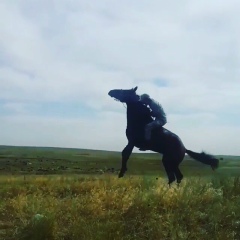Ереке Елеусизов, Балхаш