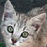 Павел Русинов, 06.05, Бердск