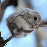 Руслан Fatality, 10.01, Нальчик