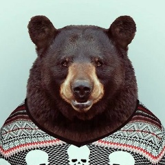 Михаил Журлов, 12.01, Пенза