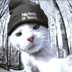 Jasp Sh, Алматы