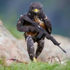 Нариман Ичинский, 05.12, Санкт-Петербург