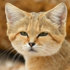 Марина Шилова, Пермь
