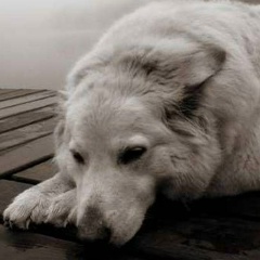 Алексей Будкин, Верхнечусовские Городки