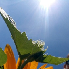 Ксения Шарафутдинова, 03.02, Алматы