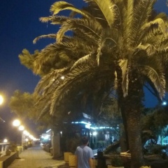 Ребёнок Солнца, 13.02, Ялта