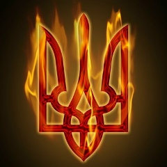Владислав Битковский, 08.08.1982, Киев