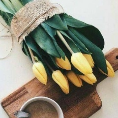 Велина Демьяновна, 23.04, Одесса