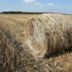 Наталья Давыдова, 08.08, Челябинск