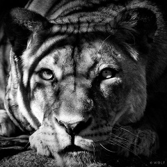 Иван Дивненко, 07.12.1984