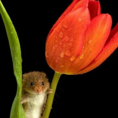 Анна Кучерява, 12.12, Омск