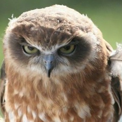 Юлия Захарова, 25.07.1985, Санкт-Петербург