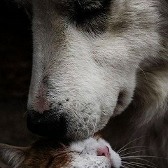 Роман Модин, 06.11.1981, Атырау