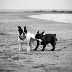 Давид Бабаян, Москва