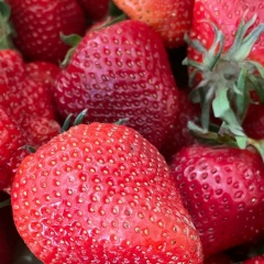 Aigerim Zhumabayeva, 22.10.1984, Алматы