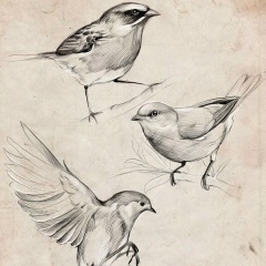 Марина Сёмина, Москва