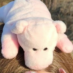 Анита Медведева, 19.12.2004, Таллин