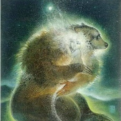 Максим Бухтяк, 01.09.1987, Симферополь