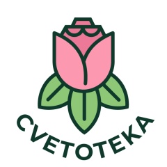 Тверь Цветов, 05.11, Тверь