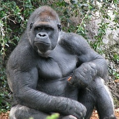 Денис Костин, 10.03, Москва