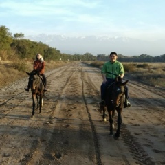 Акбар Акберды, 22.12.1995, Тараз